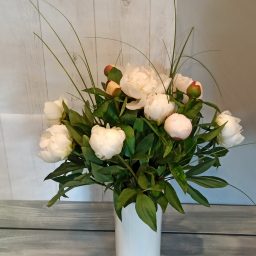 Saison Pivoines